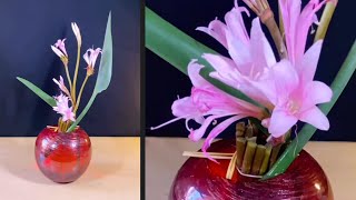 Amaryllis Flower Design Ideas [upl. by Constantino]