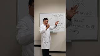 Hemostasis Lesson 1  An Introduction [upl. by Pasco]