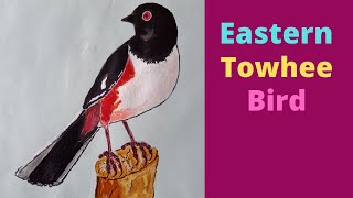 How To Draw Eastern Towhee Bird  Songbird  Cute Bird  Bird Animal [upl. by Levins577]