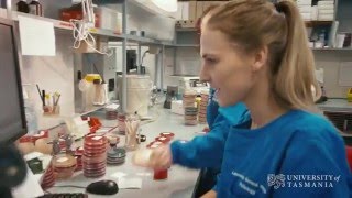 What does a microbiologist do  University of Tasmania [upl. by Bigford]