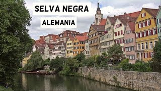 Selva Negra en Alemania en 5 minutos Una Región de Cuento y Naturaleza  Friburgo Triberg [upl. by Assiral]