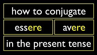 Italian Present Tense 4 Irregular Verbs ERE Essere Avere [upl. by Ttayw]