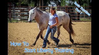 How To Start Liberty Training With Your Horse Basic Exercises Part 1 [upl. by Adoh]