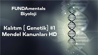 Kalıtım  Genetik 1 Mendel Kanunları [upl. by Daza]