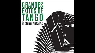 Grandes Éxitos De Tango  Instrumentales Full Album [upl. by Eckel]