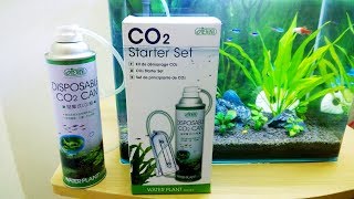 Ista CO2 Starter Set Review  Cheap CO2 Diffuser kit [upl. by Imotih307]