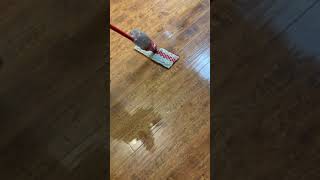 Genius and easiest way to fix Vileda mop not spray with one Lego block [upl. by Aiuoqes]