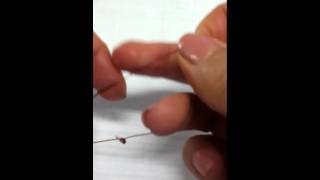 How to tie a blood knot the easy way [upl. by Eanej397]