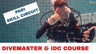 PADI Divemaster Skills Circuit and IDC Skills Circuit  Get the Best Scores [upl. by Varuag]