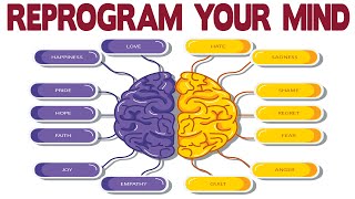 Dr Joe Dispenza  Learn How to Reprogram Your Mind [upl. by Ayle]