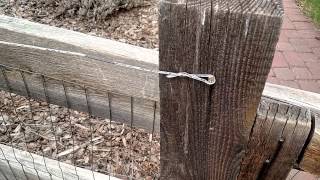 prevent dog from jumping the fence [upl. by Jenda]