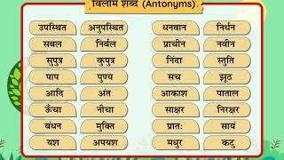 Vilom  Shabd विलोम  शब्द Antonyms Class 5 [upl. by Aretse436]