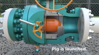 Chaoda USA Pigging Valve Demonstration [upl. by Burley]