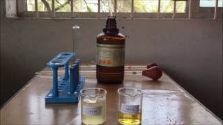 Albumin Detection in Urine  Sulfosalicylic Acid amp Nitric Acid Test for Urine Analysis  ENGLISH [upl. by Roshelle]