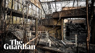 Three women go to police over fire at German zoo [upl. by Anahsit210]