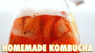 How To Make Kombucha At Home [upl. by Helyn]