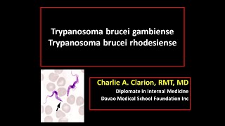 Trypanosoma brucei gambiense and rhodesiense [upl. by Aisyat]