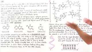 Introduction to DNA [upl. by Zeiger]