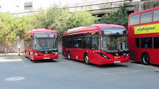 Electric Buses On London Bus Route 484 Lewisham  Camberwell Green [upl. by Wolliw670]