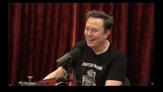 Joe Rogan Experience 2281  Elon Musk [upl. by Aihsela207]