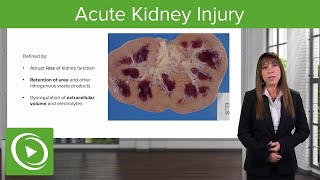 Acute Kidney Injury AKI Staging and Etiology – Nephrology  Lecturio [upl. by Ailegave]