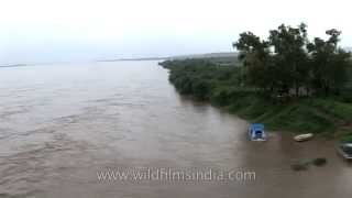 Crossing the mighty Brahmaputra in monsoon spate [upl. by Nilcaj]