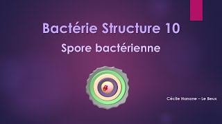 Bactérie Structure 10 SPORE BACTERIENNE [upl. by Beyer]