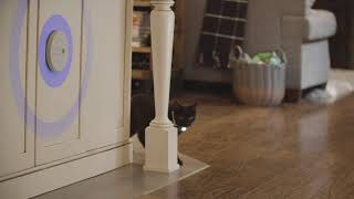 Training Your Pet With Invisible Fence Indoor Shields [upl. by Fleurette761]