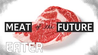 The Meat of the Future How LabGrown Meat Is Made [upl. by Nannie216]