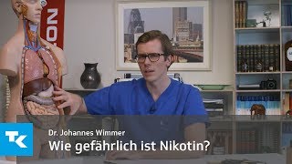 Wie gefährlich ist Rauchen  Dr Johannes Wimmer [upl. by Leruj554]