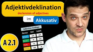 Adjektivdeklination Im Akkusativ  German Adjective Endings in Accusative [upl. by Hausner231]