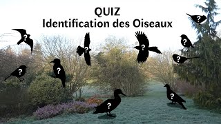 QUIZ Identification des Oiseaux 1 [upl. by Lightman371]