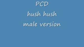 pussycat dolls  hush hush  male version  LYRICS [upl. by Anippesuig]