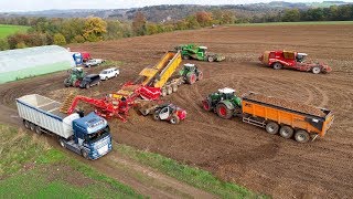 Big Potato Harvest in Belgium  Fendt 1050 amp 1042  AVR Puma  Grimme Varitron  Cleanloader [upl. by Sears]