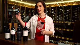 Pinot Noir Merlot Cabernet Sauvignon Shiraz Syrah  Red Wine Guide [upl. by Saito265]