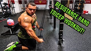 Intense 5 Minute Resistance Band Tricep Workout [upl. by Ybba]