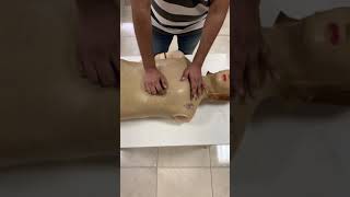 Chest Examination  inspection and palpation [upl. by Scurlock]