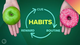 How Habits Can Change Your Life and Your Brain [upl. by Stargell]