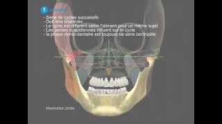 Mastication Fonctionnelle [upl. by Kurys741]