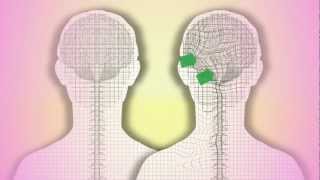 CranioSacral Therapy What is it How does it work by Tad Wanveer [upl. by Gaspard762]