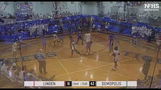 Demopolis High vs Linden highlights [upl. by Gilbertine528]