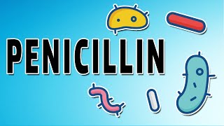 Penicillin Mechanism and Side Effects [upl. by Shu]