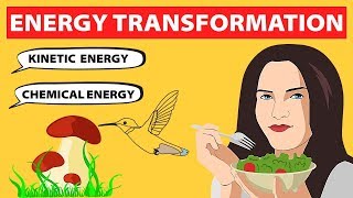 Energy Transformations  Physics [upl. by Schechinger712]