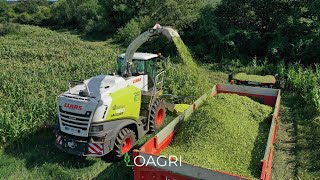 ENSILAGE DE MAÏS 2019  NOUVEAU ORBIS 600SD [upl. by Llertnad231]