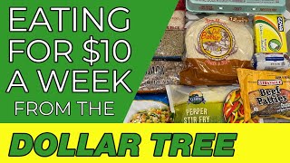 How to Eat for 10 a Week  Dollar Tree Budget Meal Plan  Emergency Grocery Haul [upl. by Ahseiyn]