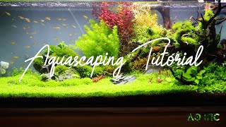 Step by Step Aquascaping Tutorial 200L [upl. by Lain827]