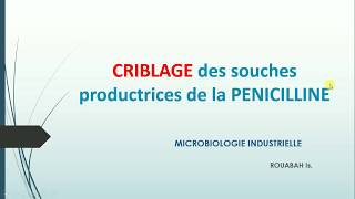 CRIBLAGE des souches productrices de la Pénicilline ROUABAH Is [upl. by Kenrick417]