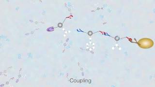 Solid Phase Peptide Synthesis  The Basics [upl. by Wurster]