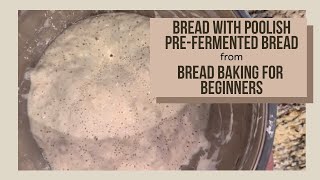 Bread with Poolish  Bread Baking for Beginners [upl. by Llednov]