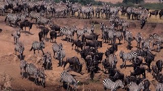 Grandes documentales  Cazadores creativos Las trincheras [upl. by Beutner]